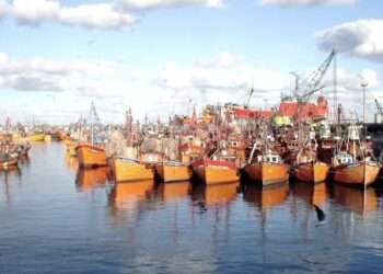 Kicillof rechazó las modificaciones a la actividad pesquera del proyecto de ley ómnibus