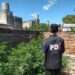 Allanamiento y secuestro de plantas de Cannabis en San José de la Esquina