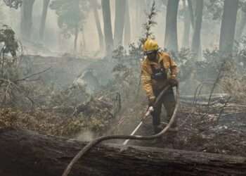 Bariloche: Incendio en el Parque Nacional Nahuel Huapi