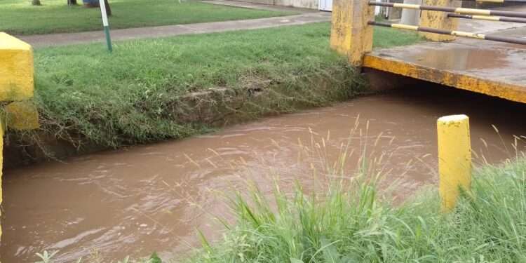 LLuvia copiosa y sostenida durante toda la noche. Una postal que se repite en una vasta región