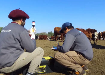 Conecar Ganadera: visita de productores Mexicanos de la mano de Biogénesis Bagó