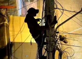 Robo de cables: un delito que hostiga a Carcarañá