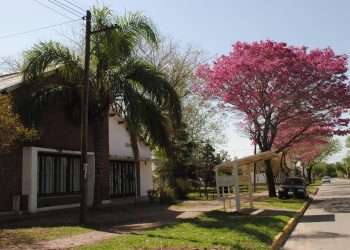 Biblioteca Pablo Pizzurno-Centro 3: 100 años