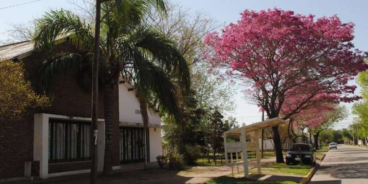 Biblioteca Pablo Pizzurno-Centro 3: 100 años