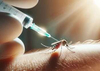 Vacuna del Dengue. Incertidumbre ante su falta en el mercado.