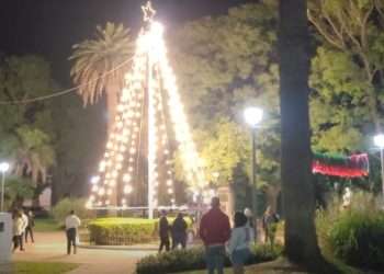 Encendido del árbol de Navidad