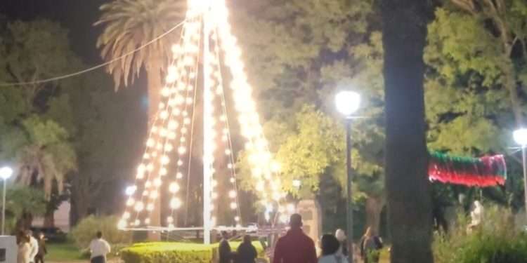 Encendido del árbol de Navidad
