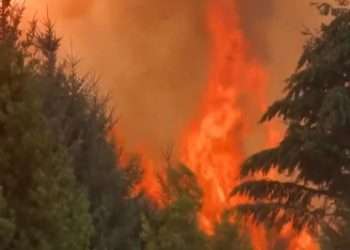 Incendios forestales