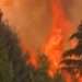 Incendios forestales