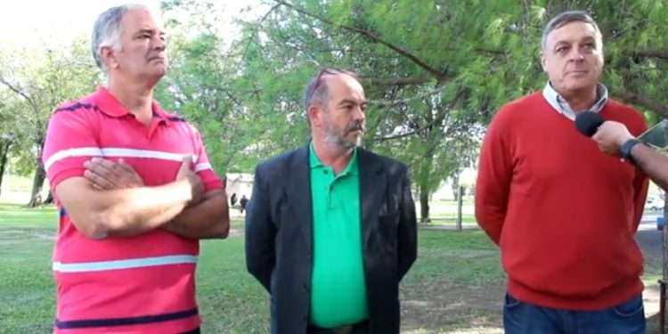 Un hijo del pino histórico en la Escuela Agrotécnica.