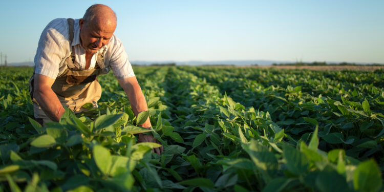 Estudios de INTA sobre la fertilidad de nuestros suelos con el Ing. Juan Ignacio Ibarlucea