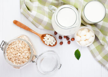 Probióticos: microorganismos esenciales para nuestra salud intestinal