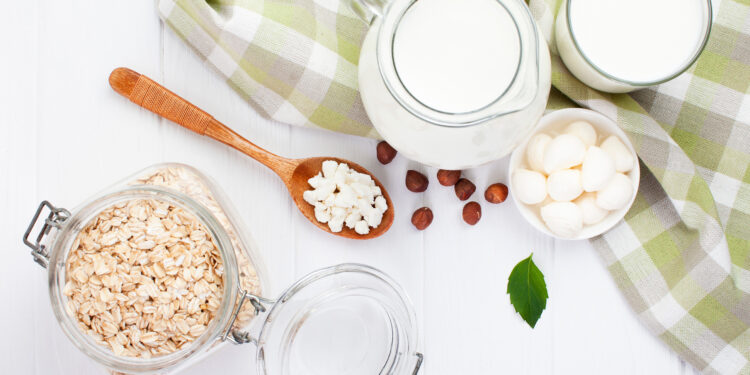 Probióticos: microorganismos esenciales para nuestra salud intestinal