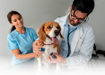 DÍA DEL MÉDICO VETERINARIO