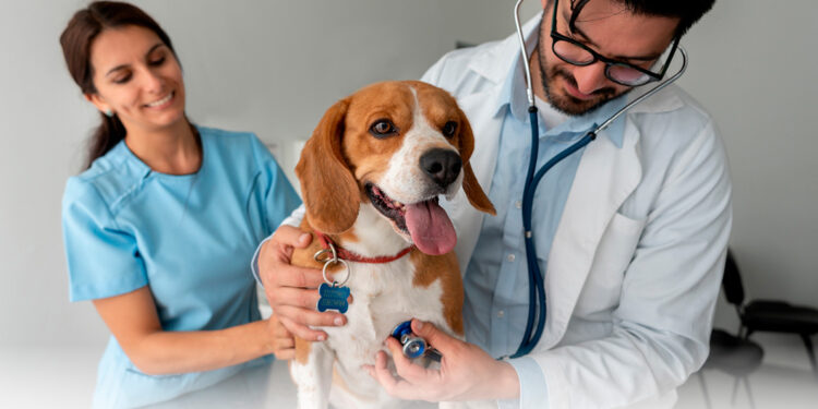 DÍA DEL MÉDICO VETERINARIO