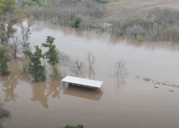 Parque Sarmiento, bajo agua: 24 evacuados en Carcarañá