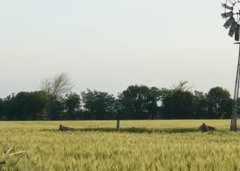 Robo en el campo. La delincuencia no da tregua.