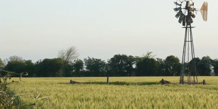Robo en el campo. La delincuencia no da tregua.