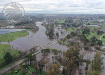 Panorama completo de Carcarañá ante el crecimiento del río