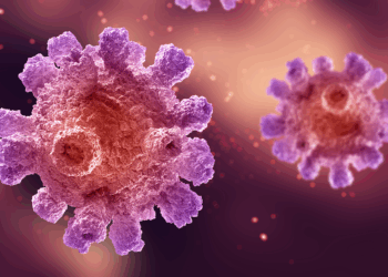 Virus del Papiloma Humano y gonorrea: qué son, cómo se transmiten y cómo prevenirlos