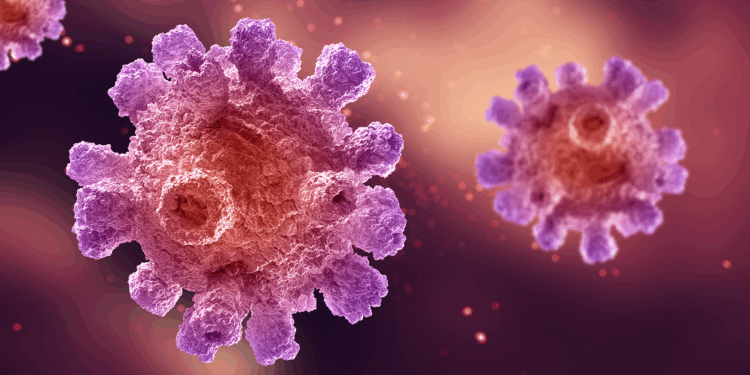 Virus del Papiloma Humano y gonorrea: qué son, cómo se transmiten y cómo prevenirlos