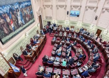 Esbozo de los nuevos derechos de la Constitución Provincial