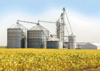 Panorama alentador para los cultivos de la región