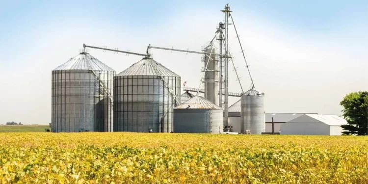 Panorama alentador para los cultivos de la región