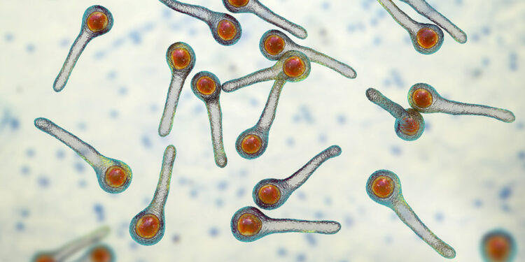 Tétanos: qué es, cómo se contagia y por qué la prevención es clave