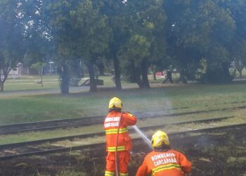 Bomberos Carcarañá: últimas intervenciones en incendios forestales