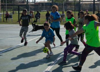 Comienzo de actividades deportivas en ámbito municipal