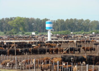 Agricultura y Ganadería en el mundo