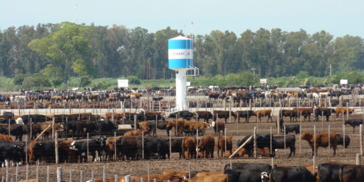 Agricultura y Ganadería en el mundo