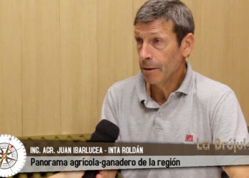 Panorama agrícola-ganadero 2026