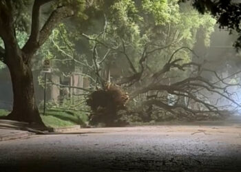 Bomberos y Protección Civil trabajaron tras la tormenta en Carcarañá