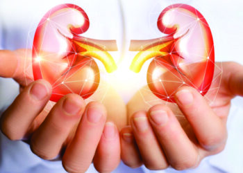 Día Mundial del Riñón: la importancia de la prevención y los controles médicos