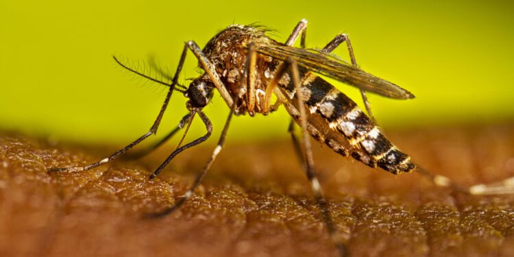 Operativo Dengue: jornada de prevención y concientización en el Hospital Goytia