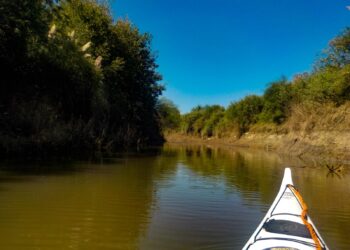Carcarañá: el río rebelde que corre al revés. Aventuras en kayaks