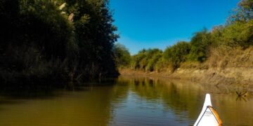 Carcarañá: el río rebelde que corre al revés. Aventuras en kayaks