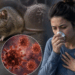 Hantavirus: ¿Puede desarrollarse en nuestra región?