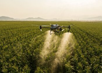 Dos emprendedores de Carcarañá apuestan a la revolución tecnológica en el campo