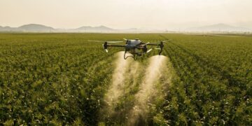 Dos emprendedores de Carcarañá apuestan a la revolución tecnológica en el campo