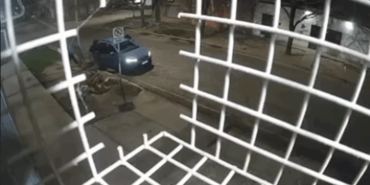 5 delincuentes asaltaron el Supermercado Cavo y Echaniz