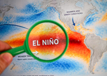 Fenómeno «El Niño» y las decisiones para la campaña gruesa 2026/2027