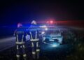 Un transporte de hacienda perdió 5 vacas en la ruta S26 ocasionando múltiples accidentes.
