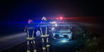 Un transporte de hacienda perdió 5 vacas en la ruta S26 ocasionando múltiples accidentes.